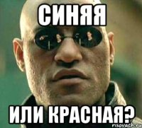 синяя или красная?