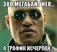 300 мегабайт Нео... А трафик исчерпан...