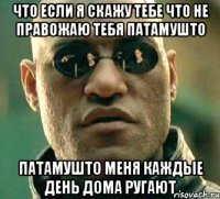 Что если я скажу тебе что не правожаю тебя патамушто Патамушто меня каждые день дома ругают