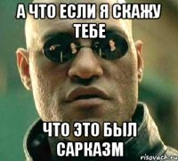 А что если я скажу тебе что это был сарказм