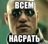 Всем Насрать