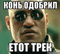 КОНЬ ОДОБРИЛ ЕТОТ ТРЕК