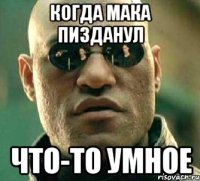 когда Мака пизданул что-то умное