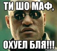 ТИ ШО МАФ, ОХУЕЛ БЛЯ!!!