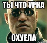 Ты что Урка Охуела