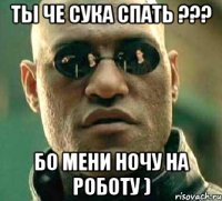 Ты че сука спать ??? БО мени ночу на роботу )