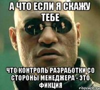 а что если я скажу тебе что контроль разработки со стороны менеджера - это фикция