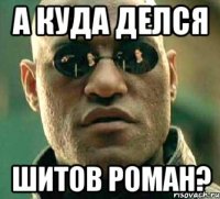 а куда делся шитов роман?