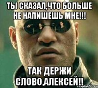 ты сказал,что больше не напишешь мне!!! так держи слово,Алексей!!