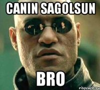 Canin sagolsun Bro