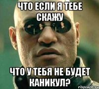 Что если я тебе скажу Что у тебя не будет каникул?