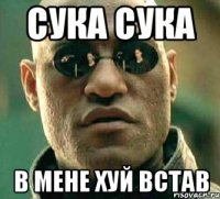 сука сука в мене хуй встав