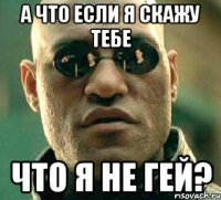 А что если я скажу тебе что я не гей?