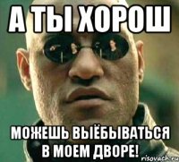 А ты хорош можешь выёбываться в моем дворе!