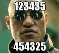 123435 454325