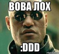 Вова лох :DDD