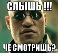 Слышь !!! Че смотришь?