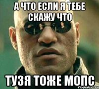 а что если я тебе скажу что тузя тоже мопс