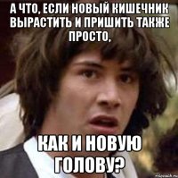 А что, если новый кишечник вырастить и пришить также просто, как и новую голову?