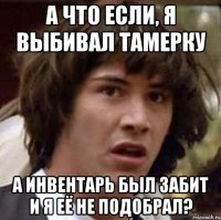 А что если, я выбивал тамерку а инвентарь был забит и я её не подобрал?