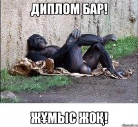 Диплом бар! Жұмыс жоқ!