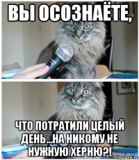 Вы осознаёте, что потратили целый день...на НИКОМУ не нужную ХЕРНЮ?!