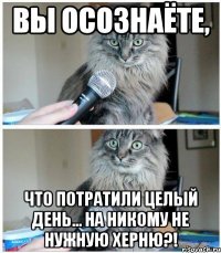 Вы осознаёте, что потратили целый день... на НИКОМУ не нужную ХЕРНЮ?!