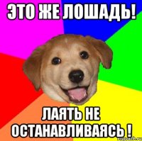 Это же лошадь! Лаять не останавливаясь !