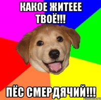 Какое житеее твоё!!! Пёс смердячий!!!