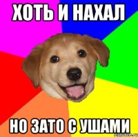 Хоть и нахал но зато с ушами