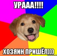 УРААА!!!! Хозяин пришёл)))