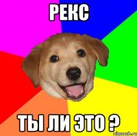 рекс ты ли это ?