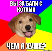 Вы за*бали с котами чем я хуже?