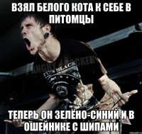 взял белого кота к себе в питомцы теперь он зелёно-синий и в ошейнике с шипами