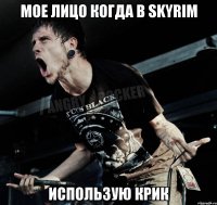 Мое лицо когда в Skyrim использую крик