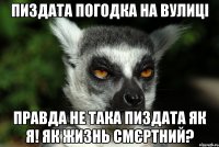 Пиздата погодка на вулиці Правда не така пиздата як я! Як жизнь смєртний?