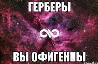 Герберы Вы офигенны