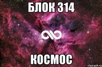 Блок 314 Космос