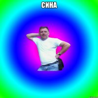 Сина 