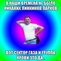 В наши времена не было никаких Линкинов Парков Вот Сектор Газа и Группа Крови,это да..