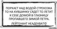 порхает над водой стрекозка то на кувшинку сядет то летит к себе домой в глазницу пропавшего зимой петра. Лейтенант Неадекват©