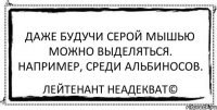 Даже будучи серой мышью можно выделяться. Например, среди альбиносов. Лейтенант Неадекват©