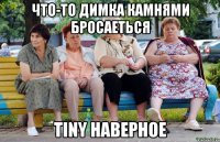 Что-то Димка камнями бросаеться Tiny наверное