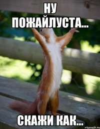 ну пожайлуста... скажи как...
