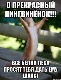 О прекрасный Пингвинёнок!!! Все белки леса просят тебя дать ему шанс!