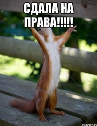 СДАЛА НА ПРАВА!!!!! 