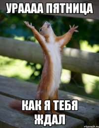 ураааа пятница как я тебя ждал