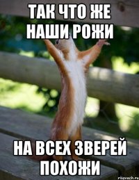 Так что же наши рожи на всех зверей похожи