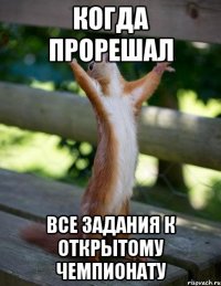 когда прорешал все задания к Открытому чемпионату