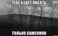 тебе будет писать только Самсонов